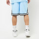 Karl Kani Ανδρικό σορτς Small Signature Essential Mesh Shorts